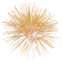PNG  Golden fireworks burst night sky