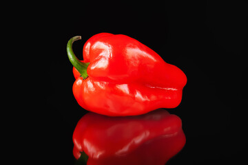 Hot pepper. Habanera pepper. Close-up of red hot pepper reflected on black