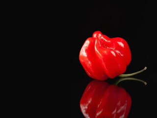 Hot pepper. Red hot pepper on a mirror black