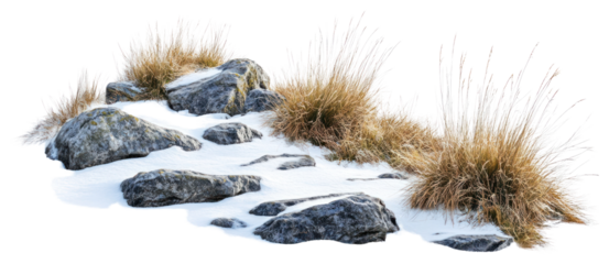 Rocky snowy grass field vegetation outdoors nature.