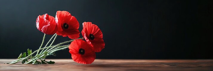 Veteran's Day concept on solid background with red flowers and copy space