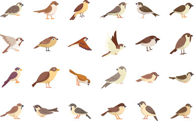 Collection of sparrows in various positions, showcasing their beauty and diversity