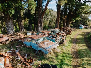 Abandoned and rusted classic cars  in the The historical Horopito Motor Wreckers - Smash Palace,...