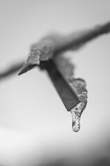 gotas del agua heladas en tendedero ropa