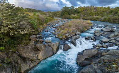 Native bush and river of the Mahuia Rapids, Turangi-Tongariro National Park, Manawatu-Wanganui, New Zealand.