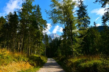 Gravel road at Ravenska Kocna at Zgornje Jezersko in Slovenia