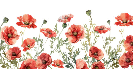Fototapeta premium PNG Vibrant watercolor poppy field illustration