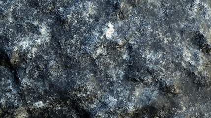 Close-up of a dark, rough, textured rock surface.