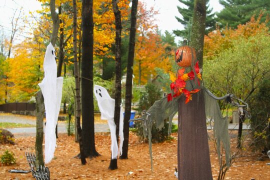 Autumn trees in the park with ghosts and halloween decorations