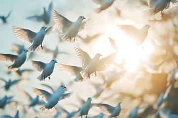 Flock of Doves Flying Towards the Sun, Symbol of Peace, Hope, and Freedom
