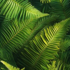 Lush Green Fern Leaves in Natural Background