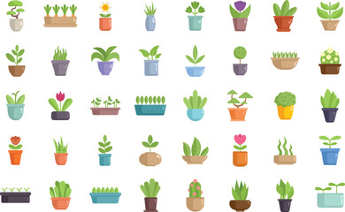 Collection of potted plants and flowers growing in planters on white background