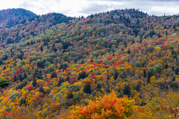 Fall landscape along The Blue Ridge Parkway.