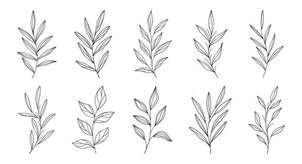 Vector set of outline branches with leaves.Simple elements for botany emblem design.Organic logo templates.Hand drawn floral illustrations for prints,flyers,banners,wedding,invitations,clipart.