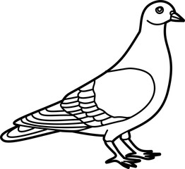 Pigeon bird coloring outline illustration vector