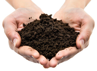 PNG Hands with garden soil outdoors person nature.