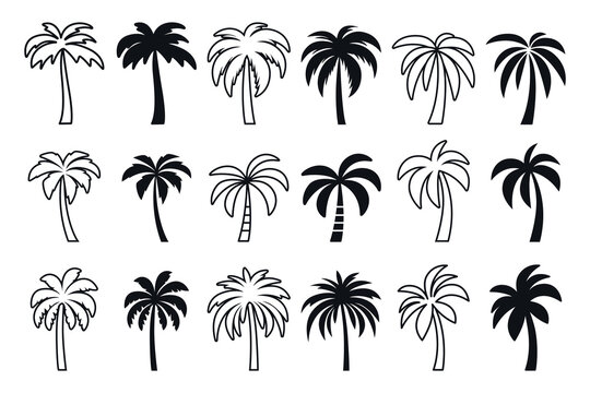 Vector Monochrome Hand-Drawn Palm Tree Icon Set. Single Color Palm Illustrations for Cutting, Tattoo Designs. Minimalist Palm Art, Design Elements. Palm Tree Clipart, Vector Illustration
