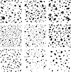 Black and White Leaf Silhouettes Collection