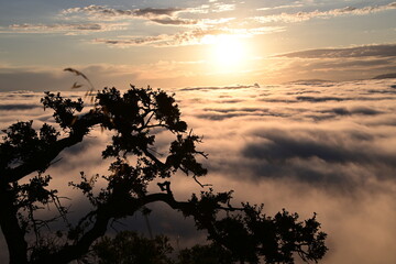 Fototapeta premium sunset on the clouds