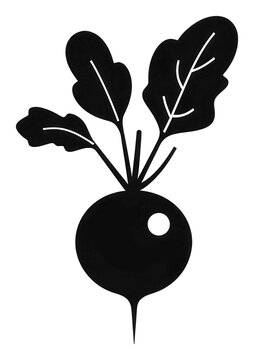 black radish with leaves on white clip art preview