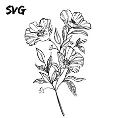 hand drawn flower