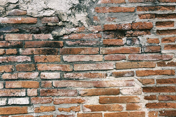 Surface of the red brick wall is old, dirty and covered with black mold.