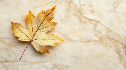  Single Autumn Maple Leaf on Marble Surface. A solitary, golden-yellow autumn maple leaf with delicate veins resting on a light beige marble background with subtle veining. Perfect for fall season the