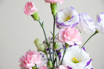 トルコ桔梗とカーネーション