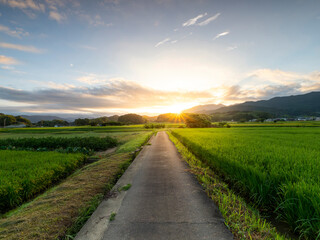 朝日が昇る明日香村の風景