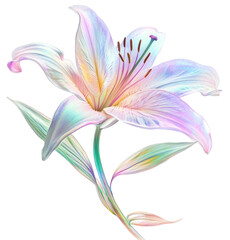 PNG  Lily flower illustration delicate pastel.