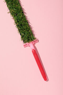 A razor for shaving with a strip of fresh grass