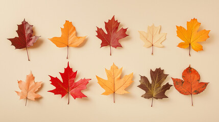 autumn leaves, like maple and oak, in various shades of orange, red, and yellow against an isolated soft beige background
