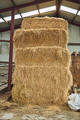 Farm, hay and barn for agriculture, sustainability and eco friendly with small business. Empty, countryside and warehouse for productivity, industrial and environment with grass, stack and factory