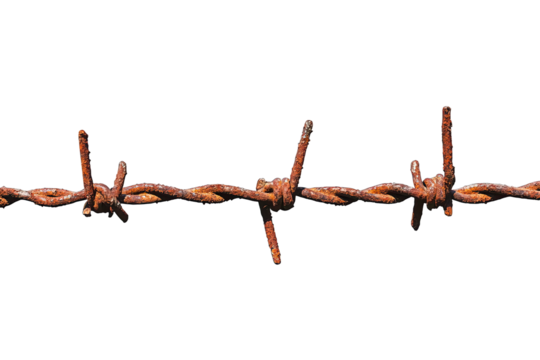 Weathered barbed wire, symbolizing restriction and boundaries. Ideal for themes of separation and security.