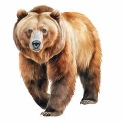 Fototapeta premium Stunning Watercolor Illustration of a Majestic Brown Bear - Perfect for Wildlife Art and Nature-Themed Designs