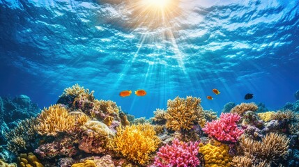 Obraz premium Underwater scene showcasing vibrant coral reefs and colorful fish illuminated by sunlight.