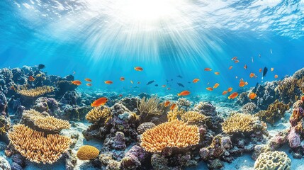 Obraz premium A vibrant underwater scene showcasing coral reefs and colorful fish in a sunlit ocean.