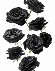 Rosas negras