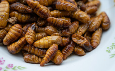 Fried silkworm pupae serving on dish.