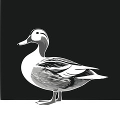 Duck mascot logo concept design