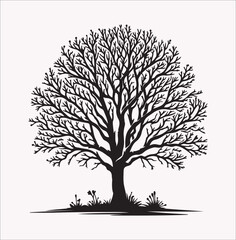 Obraz premium winter season tree drawing vector silhouette on a white background
