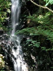 Obraz premium A serene waterfall cascading through lush greenery in a natural setting.