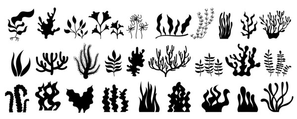 Collection of black silhouettes depicting various types of seaweed and coral. Ideal for illustrating underwater marine environments, ocean reef settings, and sea life.