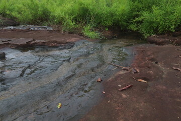 couple walking in the woods  Hikers, nature tourism, beautiful, big, rich forest