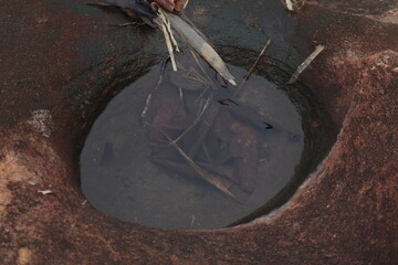 couple walking in the woods  Hikers, nature tourism, beautiful, big, rich forest