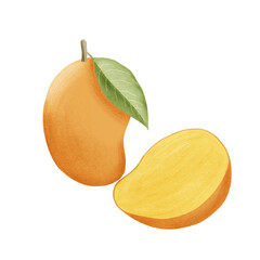 Digital painting Mango illustration with leafe and half slice