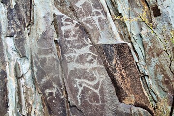 Ancient petroglyphs carved into rock, depicting figures and animals, showcasing cultural heritage.