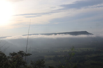 Hiking spots in Thailand Carrying a backpack through the forest Travel to Thailand, breathe in oxygen to fill your lungs, travel, trekking, fog, green trees. 