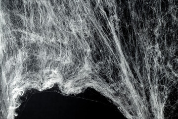 Spooky creepy cobweb spiders web covered a black background