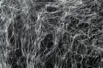 Spooky creepy cobweb spiders web covered a black background
